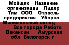 Мойщик › Название организации ­ Лидер Тим, ООО › Отрасль предприятия ­ Уборка › Минимальный оклад ­ 15 300 - Все города Работа » Вакансии   . Амурская обл.,Белогорск г.